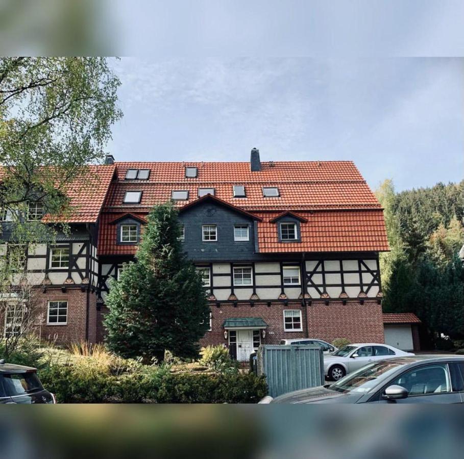 Home-Im-Harz Lautenthal Dış mekan fotoğraf