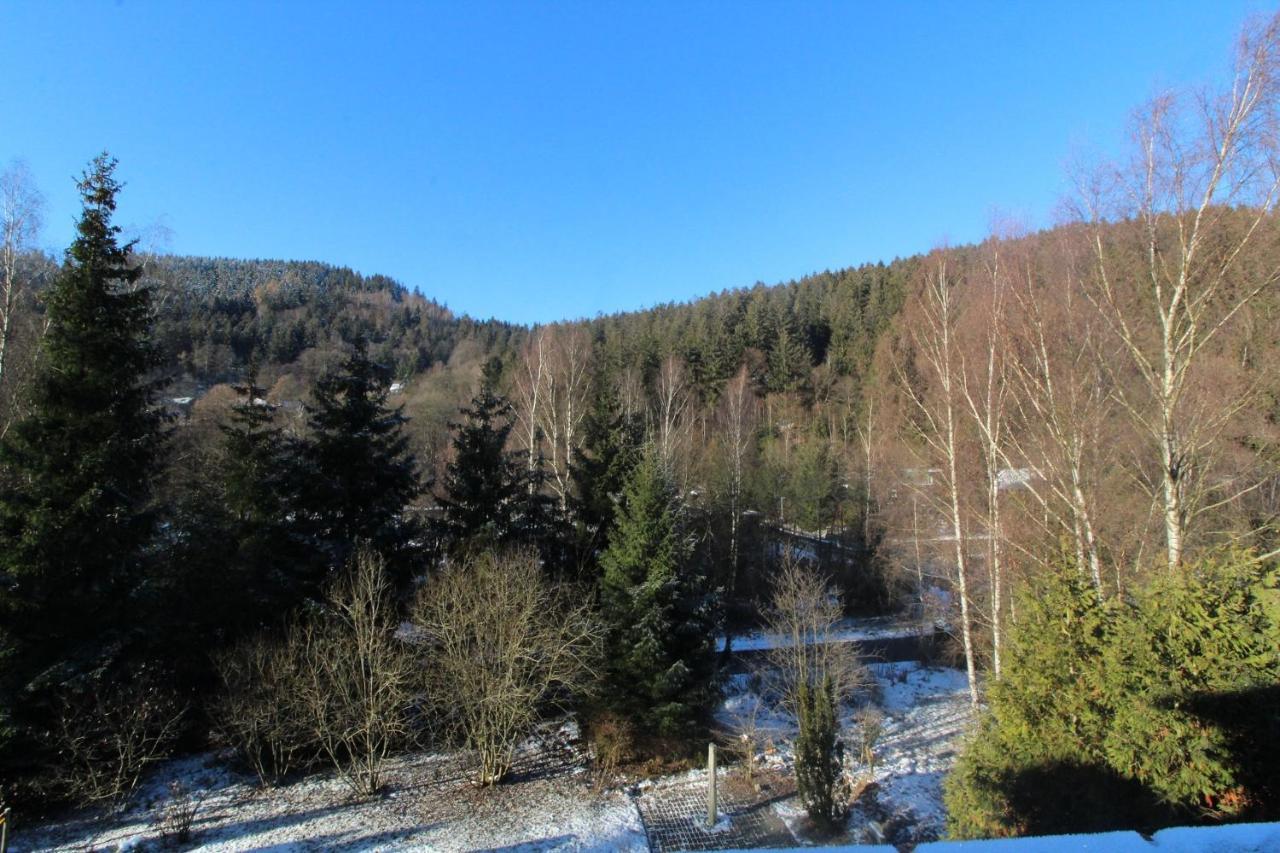 Home-Im-Harz Lautenthal Dış mekan fotoğraf